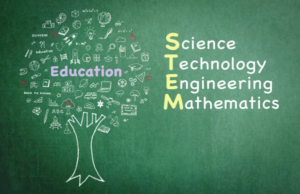 stem