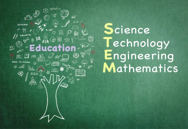 stem